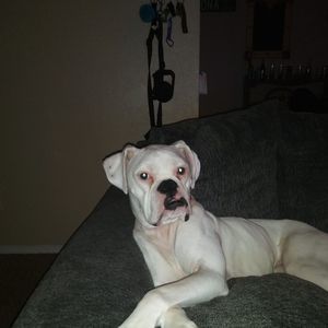 Meet your Posher, Christy